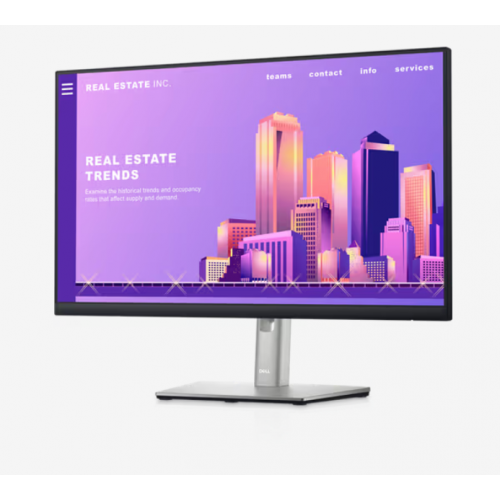 DELL P2422H HDMI DP HAS